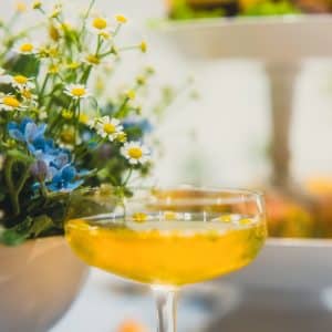 Eventlocation, Partyraum, Filmstudio, Hochzeitssaal, Loft, in Bonn, Köln und NRW